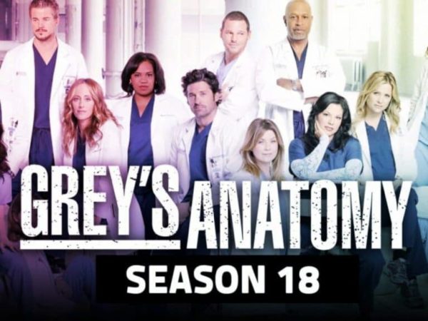 Watch Grey's Anatomy Season 18 on Hulu From Anywhere - PureVPN Blog