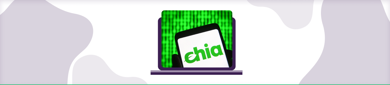 chia-port-forwarding