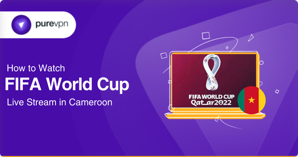watch fifa world cup in cameroon