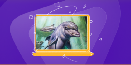 Port forwarding ‘Ecco the Dolphin’: Play with full potential