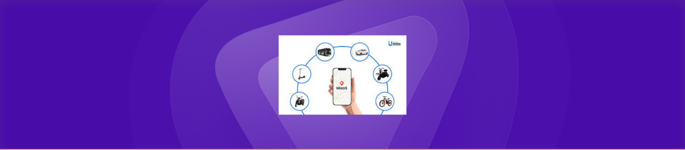 Maas as a business model